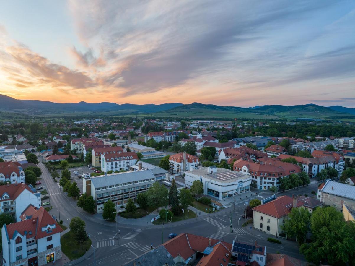 Hotel Bodrog Wellness & Elix Spa Sarospatak Exterior photo