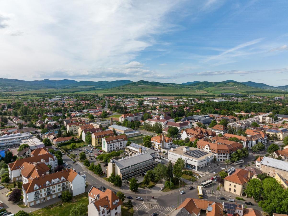 Hotel Bodrog Wellness & Elix Spa Sarospatak Exterior photo